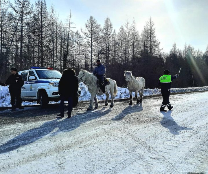 На Колыме полицейские сопровождали в населенных пунктах участника экстремальной конной экспедиции